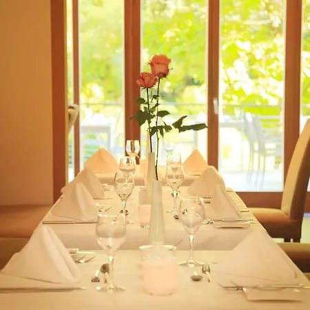 Hotel Bio Thermalhotel Falkenhof 4*