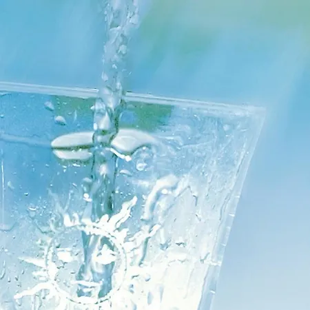 Bio Thermalhotel Falkenhof 4* באד פיסינג
